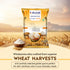 Zuari Foods Chakki Fresh Atta | Absorbs More Water | Non-Sticky Dough