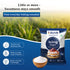 Zuari Foods Icing Sugar 1Kg | Sulphur-Free Process | Lump-Free | Untouched by Hand